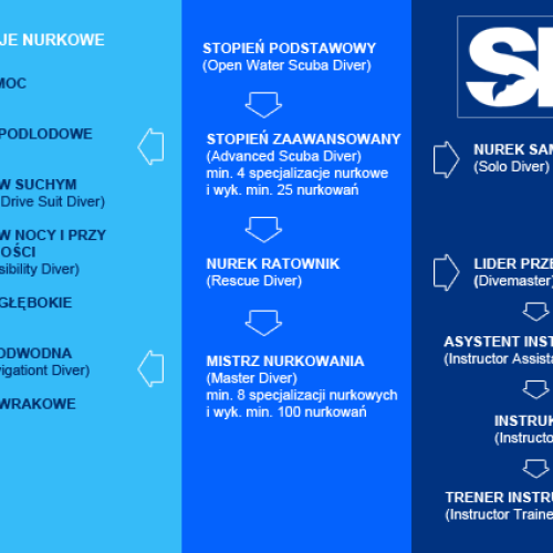 schemat_szkolen_sdi
