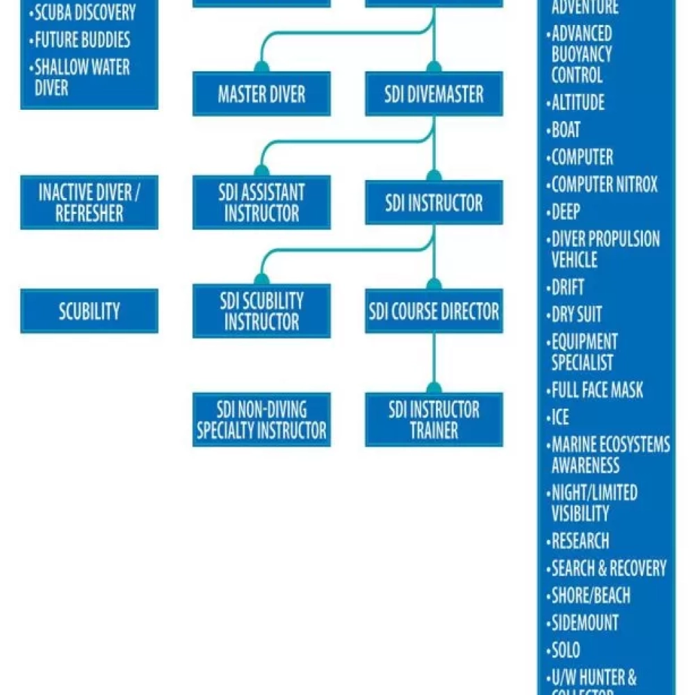 sdi-flowchart_v0220-Verticle-614x1024